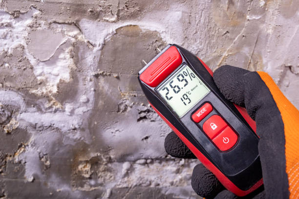 Best Residential Mold Remediation in Grand Island, NE